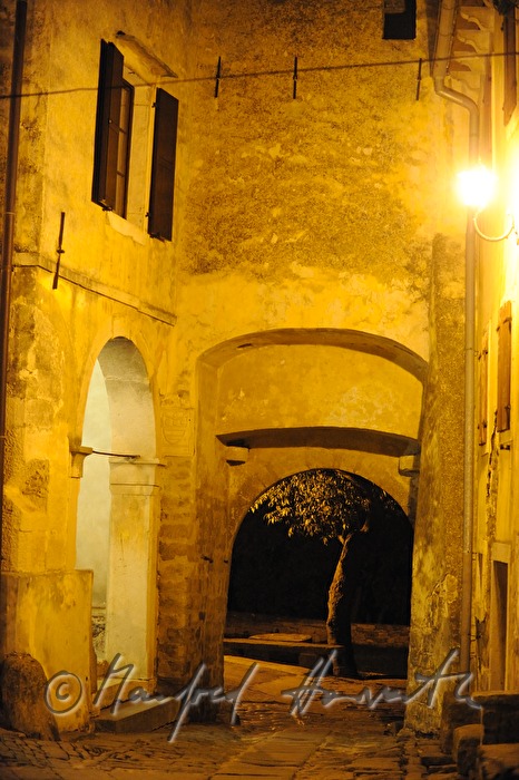 Altes Stadttor und Baum