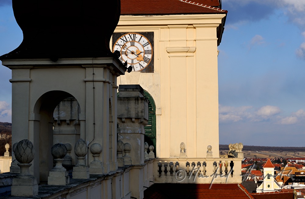 Blick vom Dach auf Eisenstadt