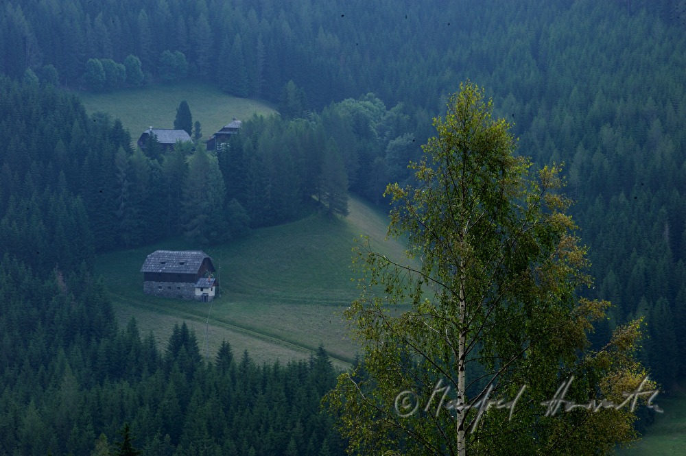 Bergbauernhöfe im Wald und Birke