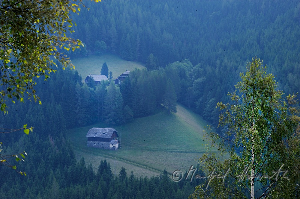 Bergbauernhöfe im Wald und Birke