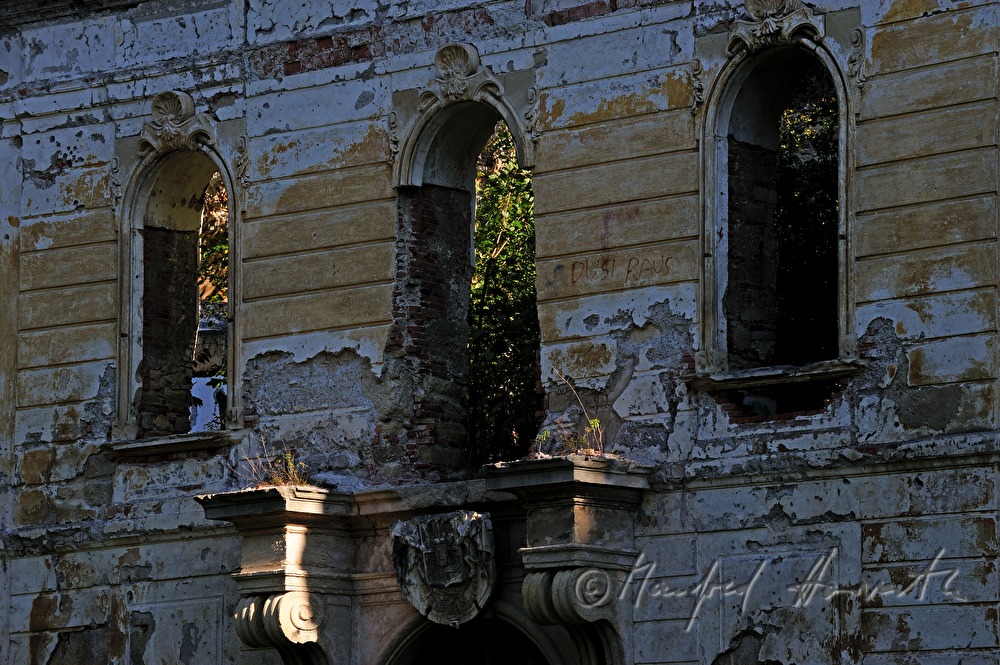 verfallenes Wasserschloss Schloss Pottendorf