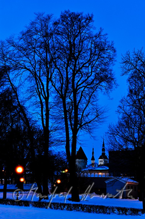 Blick vom Russischen Kulturinstitut zur Altstadt