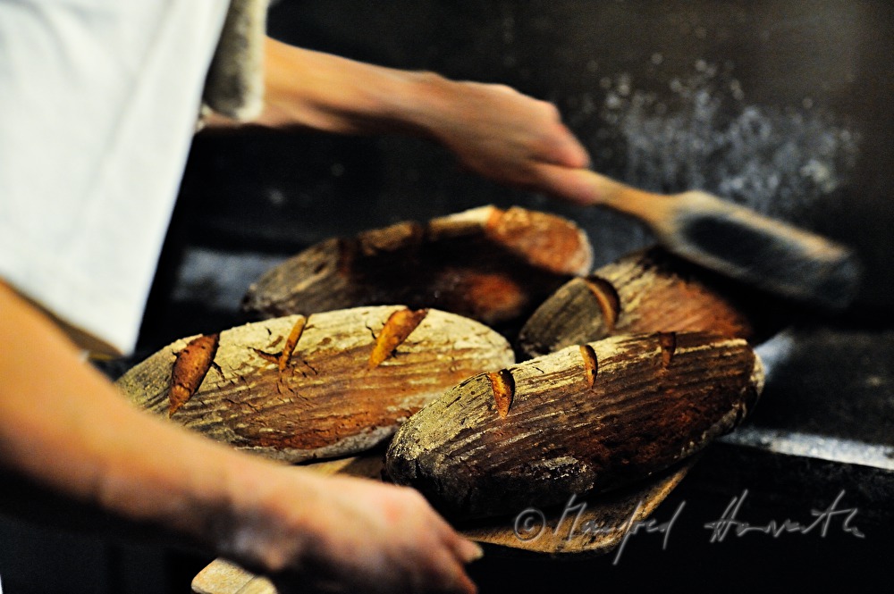 Roggenbrote kommen frisch aus dem Backofen