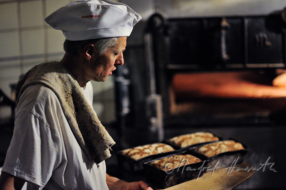 Kastenbrote kommen frisch aus dem Backofen