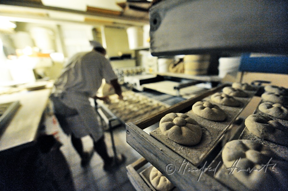 Weckerl aus Weizenmehl vor dem Backen