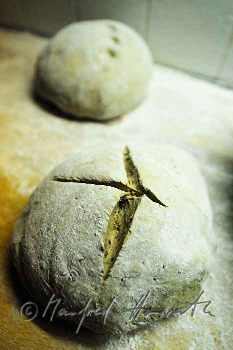 eingeschnittener und bemehlter Brotlaib vor dem Backen