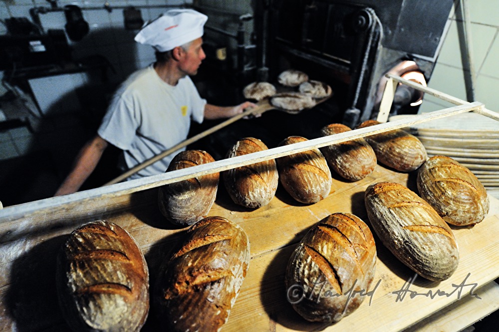 frische Roggenbrote kühlen aus