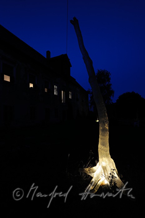 Baum-Skulptur (Epoxyharz) vor dem Atelier