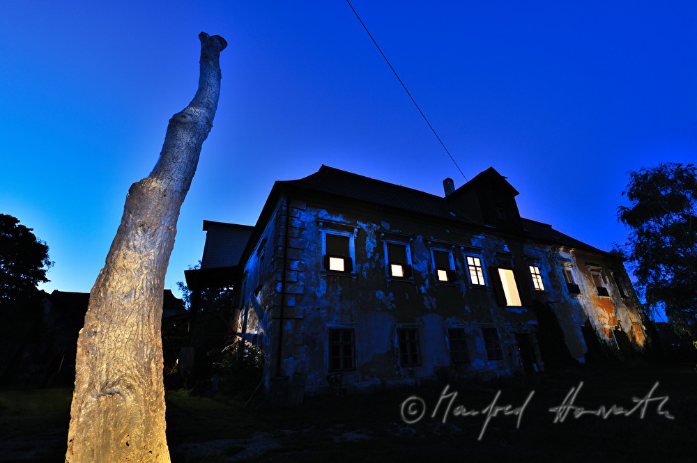Baum-Skulptur (Epoxyharz) vor dem Atelier