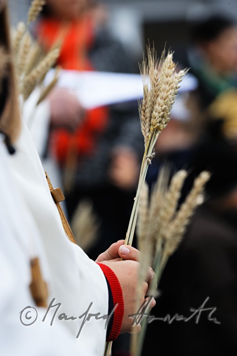 Ministrant mit einer Garbe Weizen beim Erntedankfest