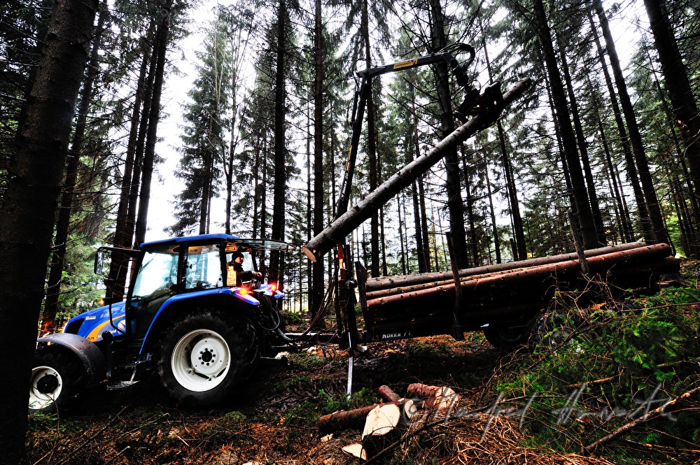 Holzbringung mit dem Traktor