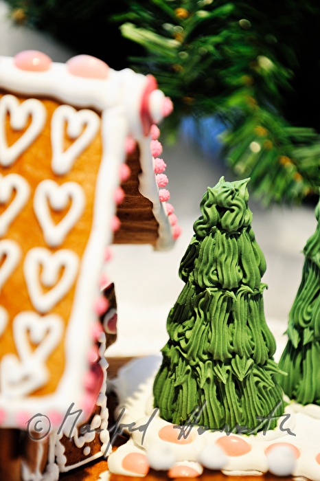 Detail eines Hausdaches bei Lebkuchenhaus-Ausstellung