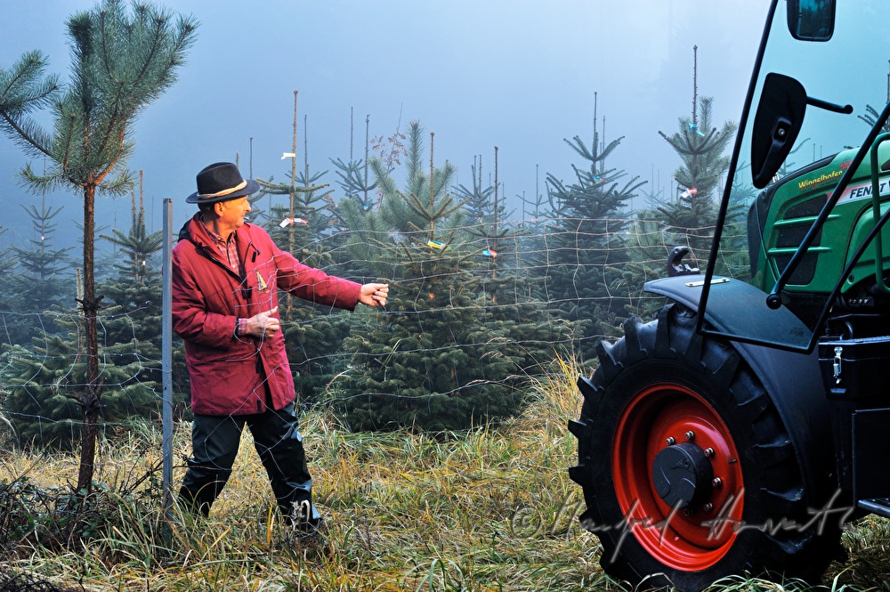 Christbaumhof Raith: Zaun als Schutz vor Wildverbiss