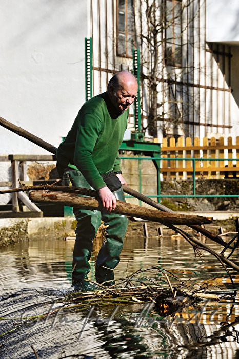 Müllner befreit den Mühlbach vom Treibholz