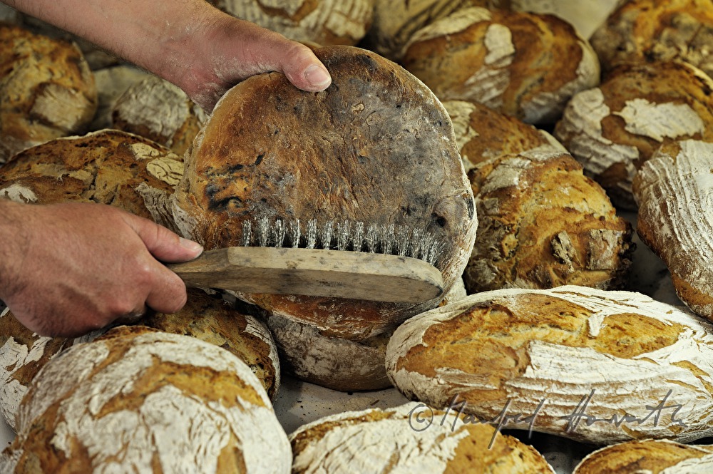 Abbürsten von frisch gebackenem Holzofenbrot