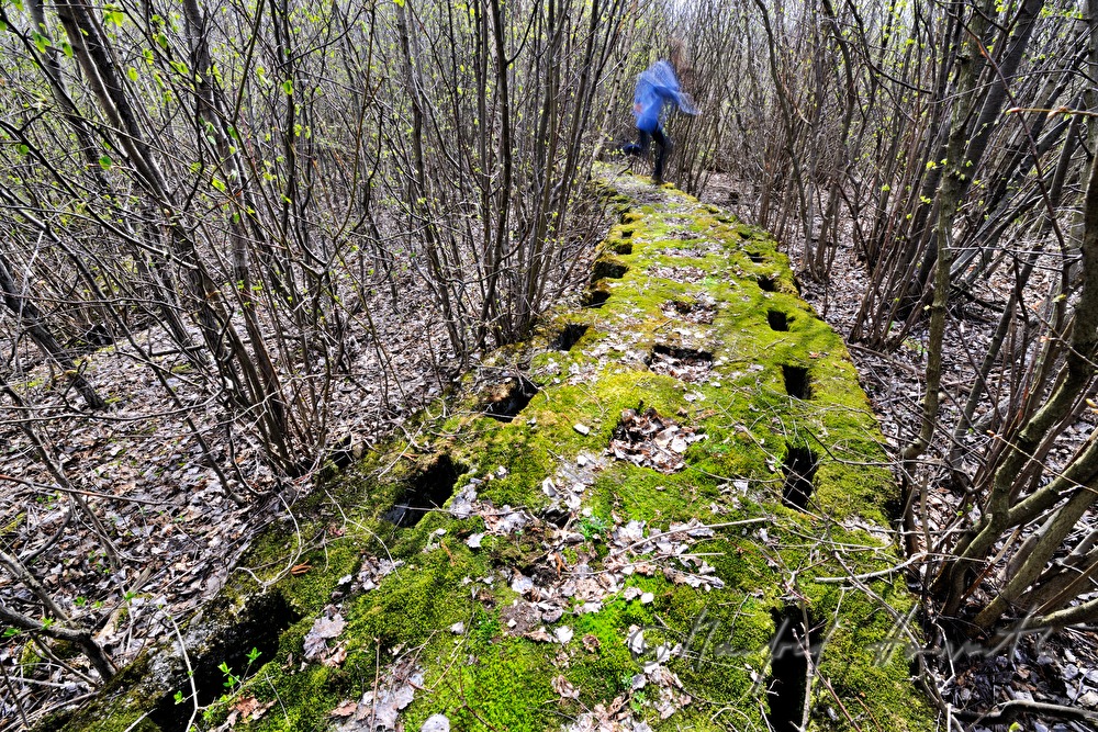 moosbewachsenes Relikt aus dem 2. Weltkrieg (FLAK-Fundament)