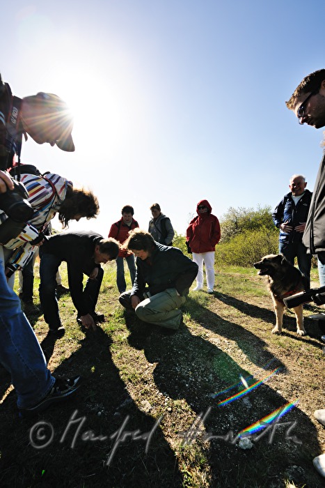 Exkursion des Naturschutzvereines zu den Zwergchwertlilien