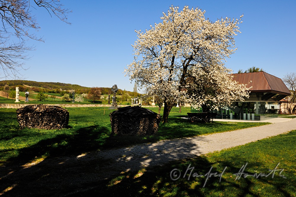 Eiermuseum, Skulpturen und blühender Baum
