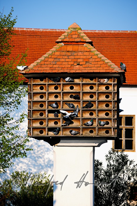 Taubenkobel mit Tauben im Innenhof