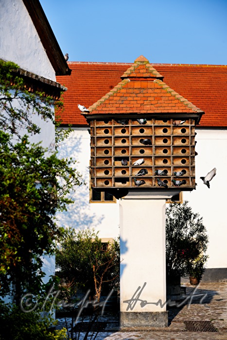 Taubenkobel mit Tauben im Innenhof