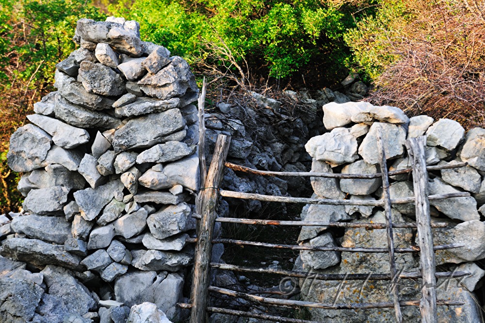 Trockensteinmauer und Schaf-Gatter