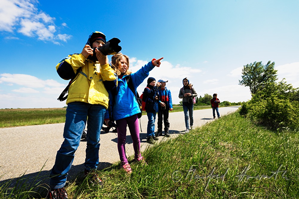 Vogelbeobachtung im Nationalpark Neusiedler See–Seewinkel