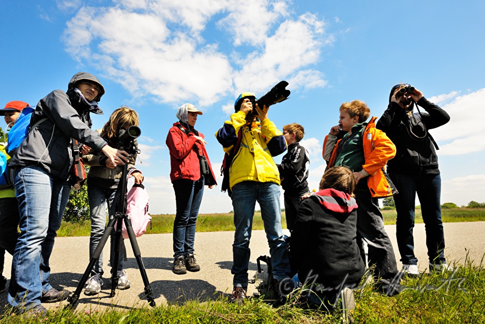 Vogelbeobachtung im Nationalpark Neusiedler See–Seewinkel