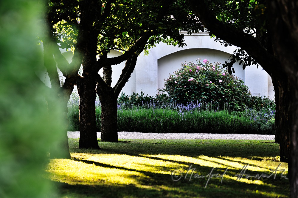 Blick durch den Apfelhain im Schlossgarten