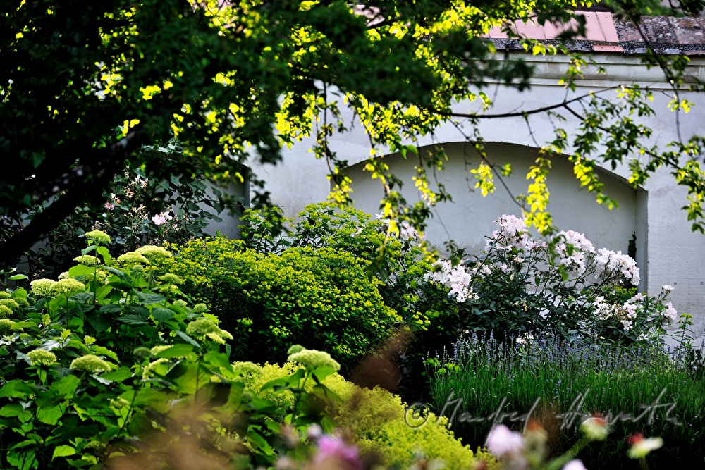 Blick durch den Apfelhain im Schlossgarten
