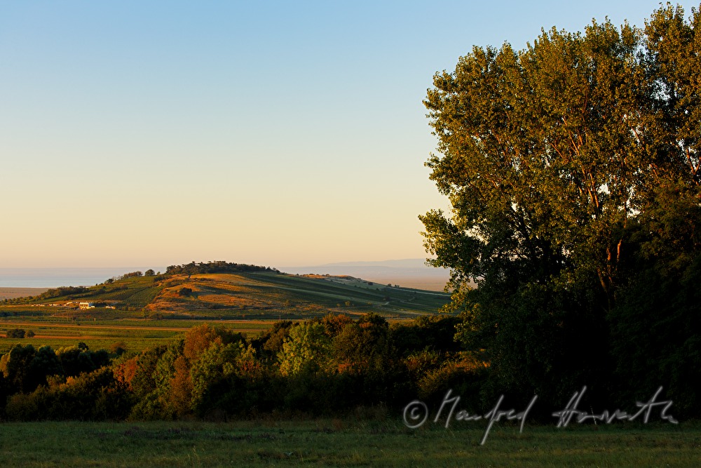 Blick vom Leithagebirge auf den Hackelsberg
