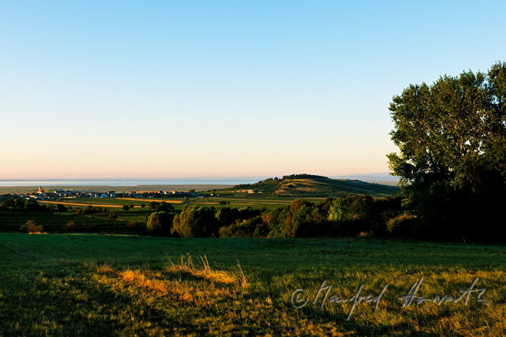 Blick vom Leithagebirge auf den Hackelsberg