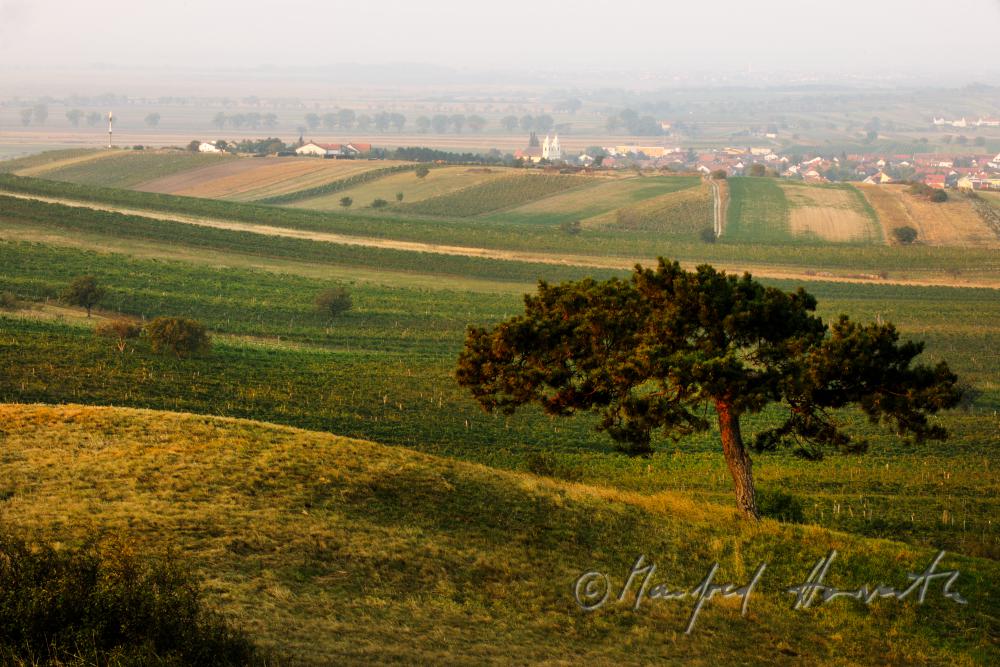 Blick vom Hackelsberg auf Winden