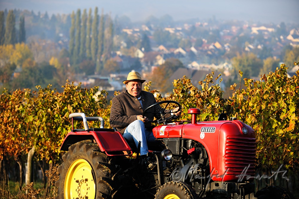 Sonntags-Oldtimer-Traktorfahrt durch die Landschaft