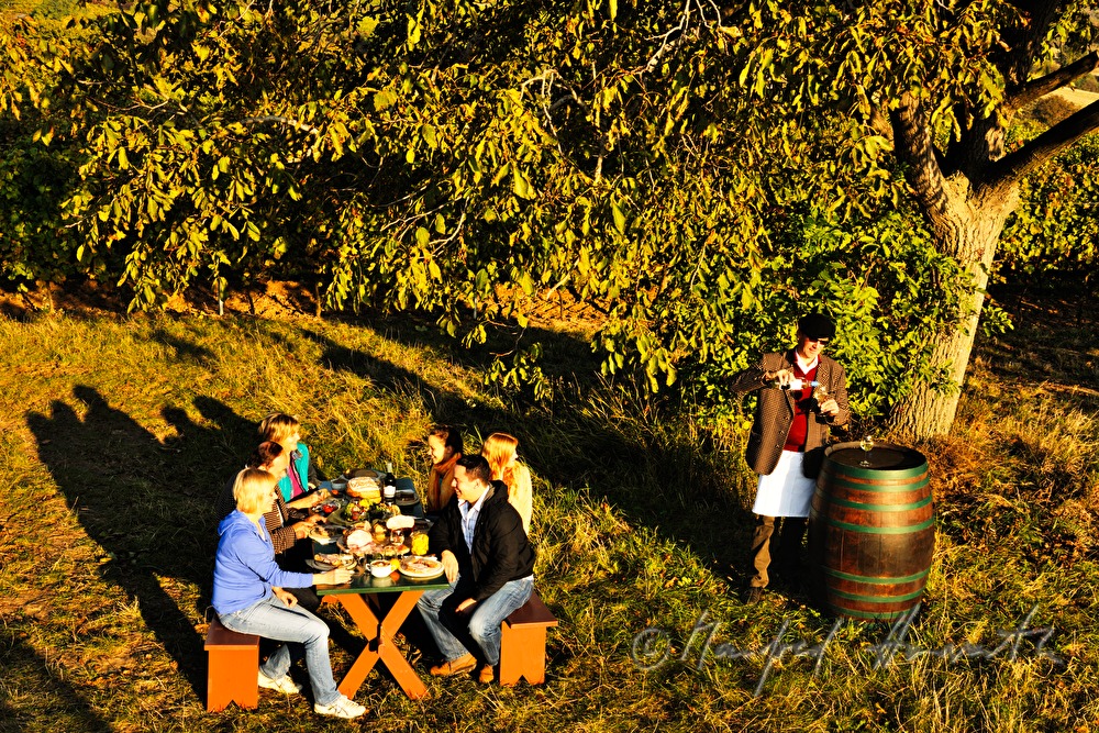 Familienfest im Weingarten