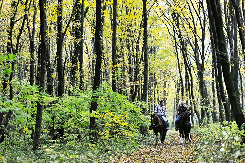 Reiterinnen im Herbstwald