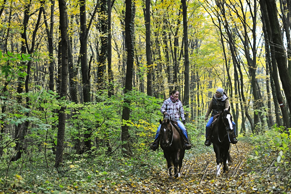 Reiterinnen im Herbstwald
