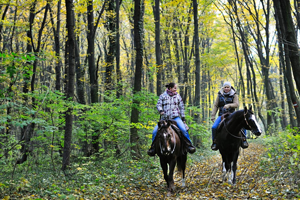 Reiterinnen im Herbstwald