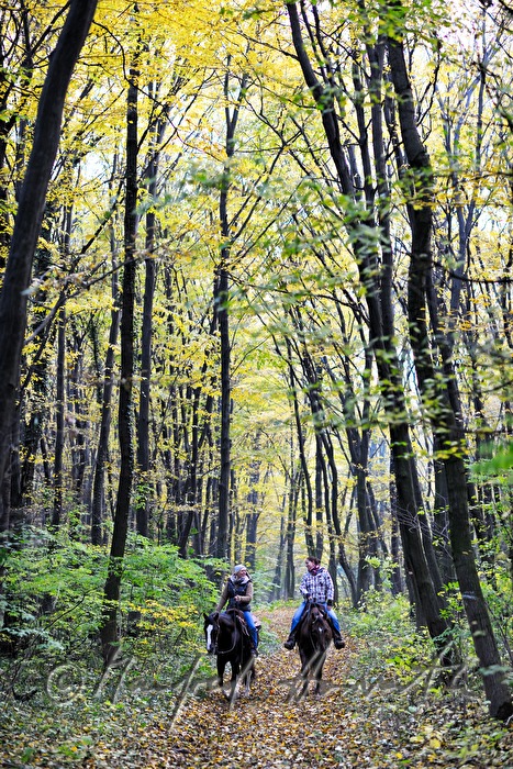 Reiterinnen im Herbstwald
