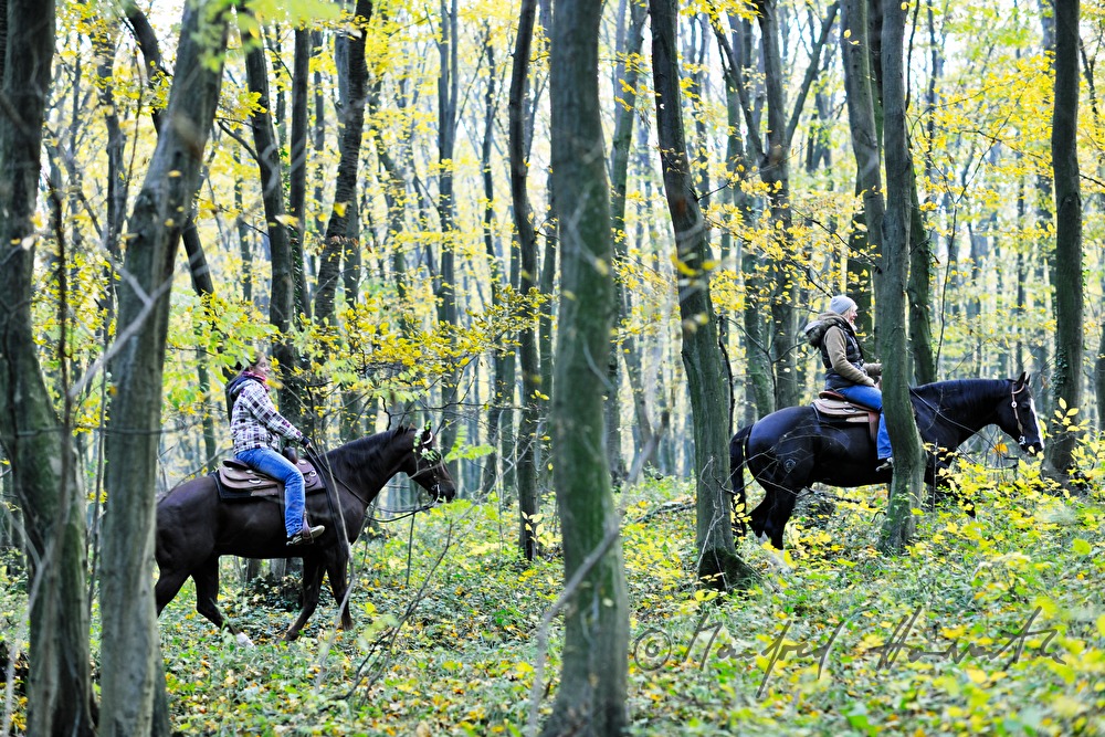 Reiterinnen im Herbstwald