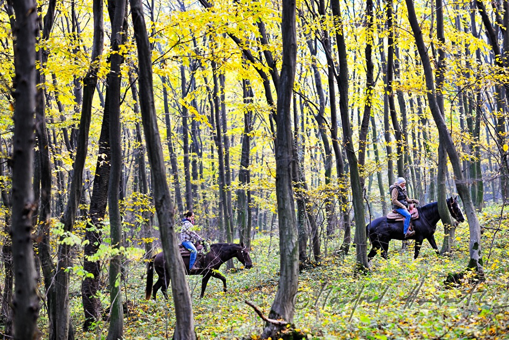 Reiterinnen im Herbstwald