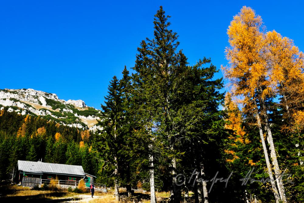 Almhütte am Preiner Gscheid