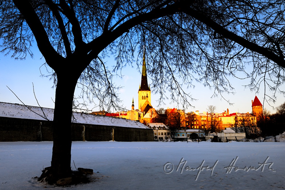 Olaikirche (Olafkirche)