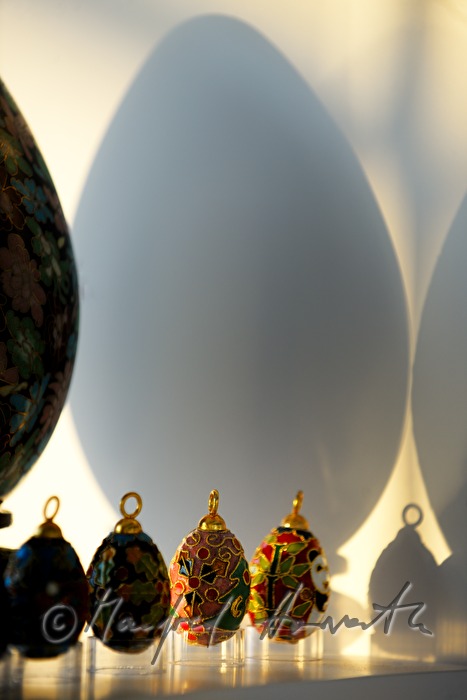 Eier im Eiermuseum Wander Bertoni