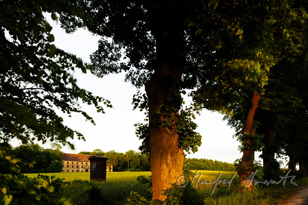 Schüttkasten von Schloss Ernstbrunn