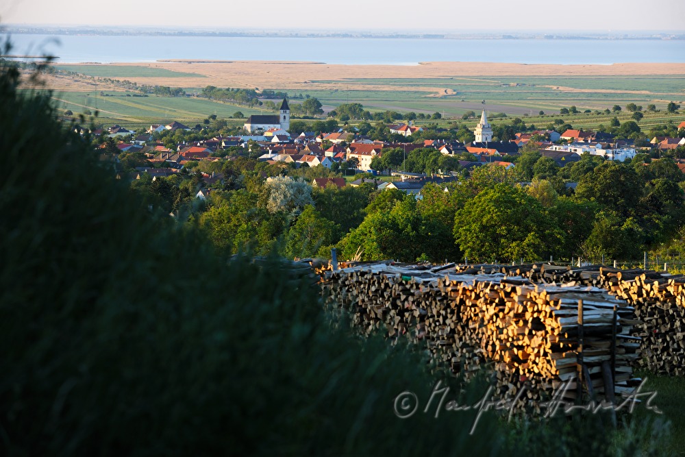 Blick vom Leithagebirge auf den Neusiedlersee