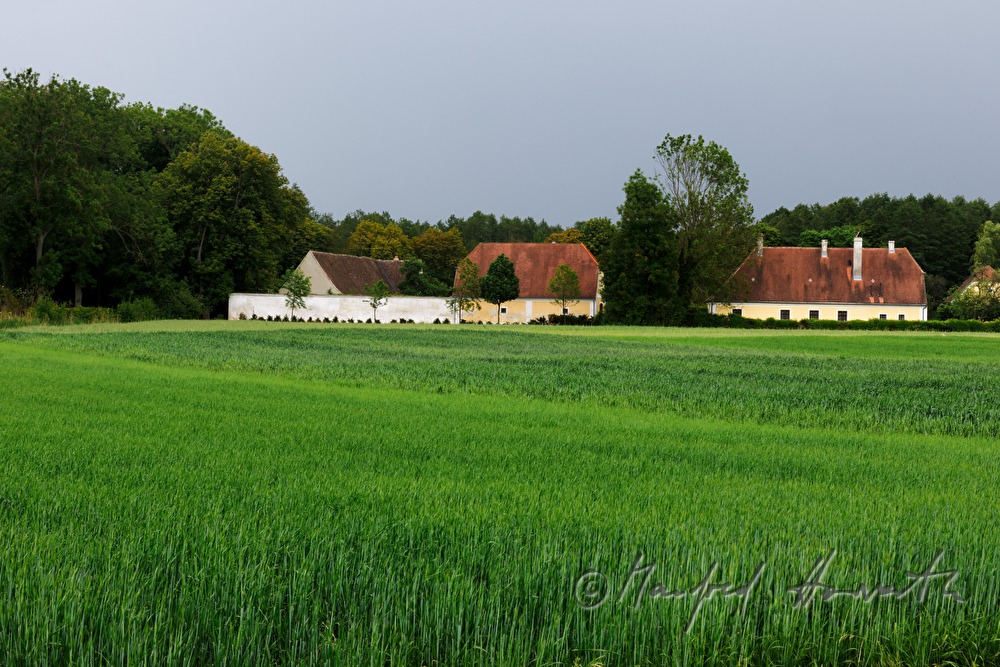 Gutshof Schönborn-Buchheim und Getreidefelder