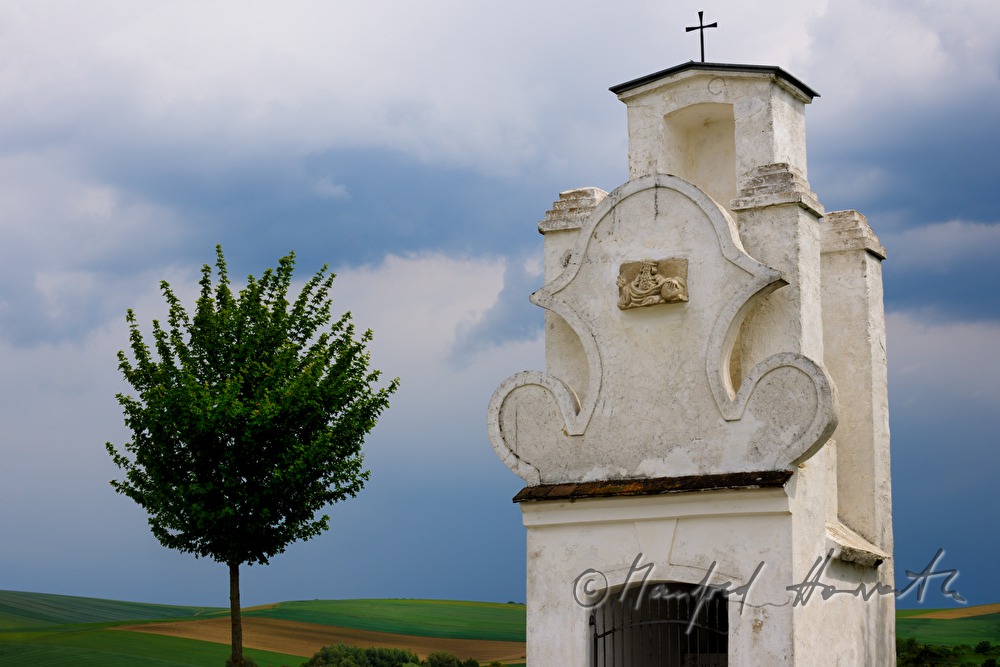Apollonia Kapelle und blühende Margeriten