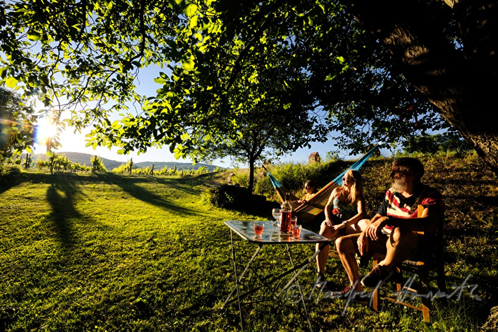 Familie im Garten hinter dem Weinkeller