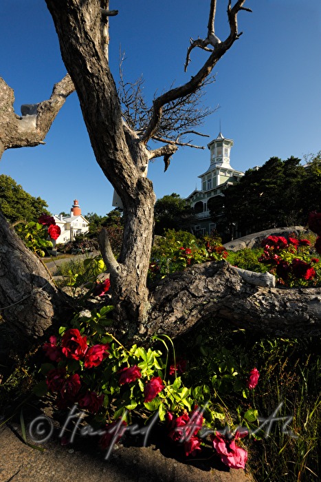 Hotel Villa Tellina an der Felsenküste der Ostsee