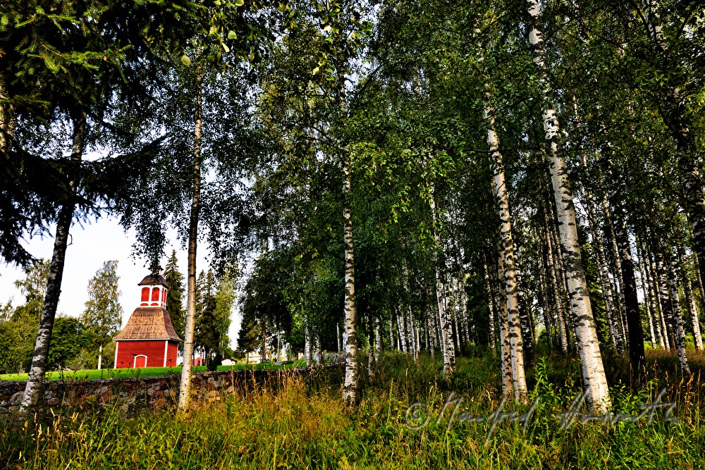 Kirche Kirkkoniemen kellotapuli und Birken im Park
